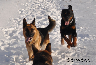 Zimní procházka - leden 2010