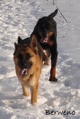 Zimní procházka - leden 2010