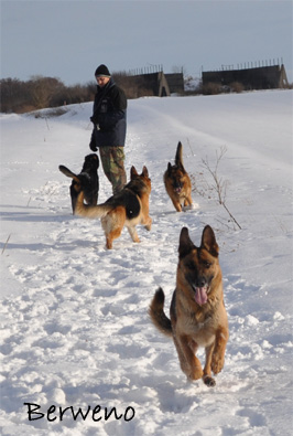 Zimní procházka - leden 2010