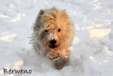 Zimní procházka - leden 2010