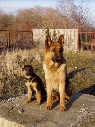 Berry a Nick 19.3.05