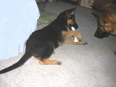 Berry a Nick - Chce�???