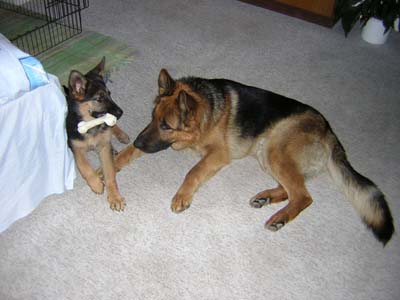 Berry a Nick - Ned�m :o) !!!