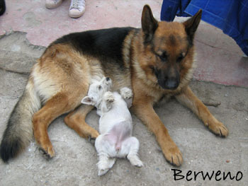 Unique a Philadelphia