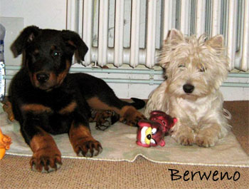 Herodes a Philadelphia