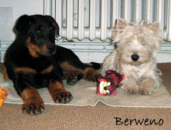 Herodes a Philadelphia