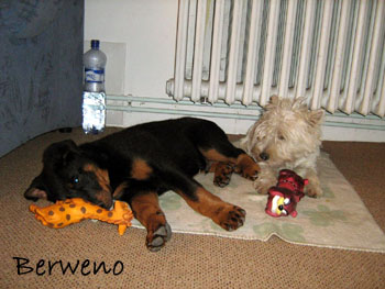 Herodes a Philadelphia