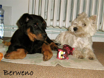 Herodes a Philadelphia