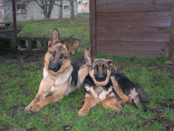 Fantastique a Mystique