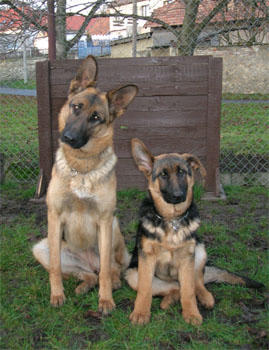 Fantastique a Mystique