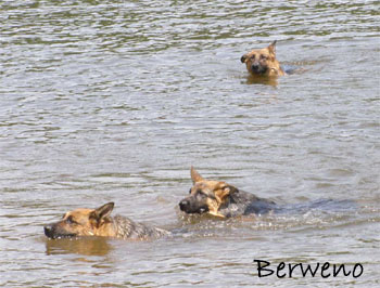 Koup�n� s Alfar�ky