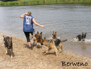 Koup�n� s Alfar�ky