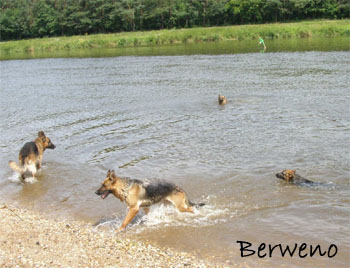 Koup�n� s Alfar�ky