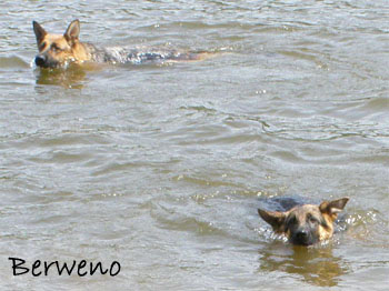 Koup�n� s Alfar�ky