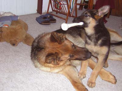 Nick a Berry - Ned�? Tak t� chramstnu do nohy!