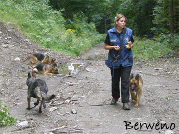 Proch�zka s Alfar�ky