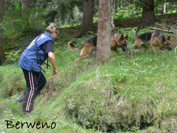 Proch�zka s Alfar�ky