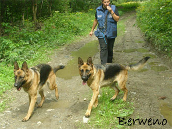 Proch�zka s Alfar�ky