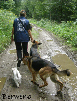 Proch�zka s Alfar�ky