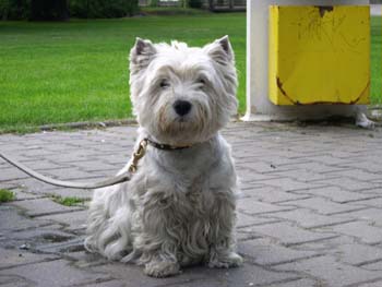 My�ka - Pansk� zahrada Hlohovec 2004