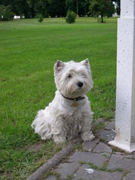 My�ka - Pansk� zahrada Hlohovec 2004