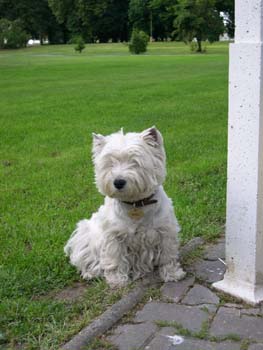My�ka - Pansk� zahrada Hlohovec 2004