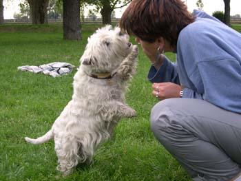 My�ka - Pansk� zahrada Hlohovec 2004