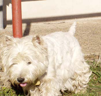 My�ka - Sluhy 10/2004