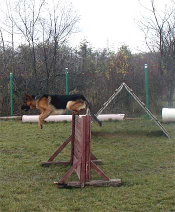 Unique Sherak - Hostivař 11/2004