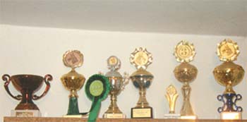 Trofeje za rok 2004