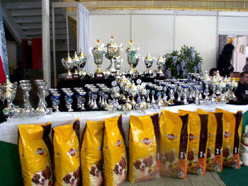 Poh�ry MVP Nitra