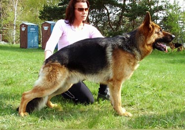 Unique Sherak 18 m�s�c�