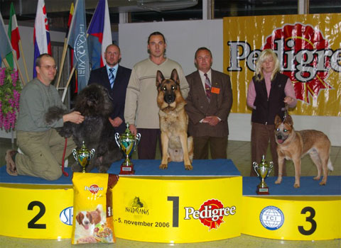 Unique Sherak - MVP Nitra, BIG
