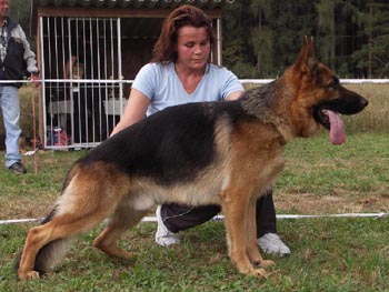 Unique Sherak - 23 m�s�c�