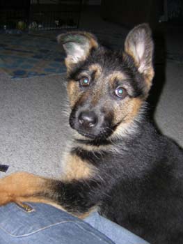 Berry 9.3.2005 