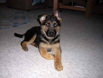 Berry 9.3.2005