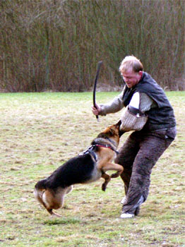 Berenique Sherak - 24 m�s�c�