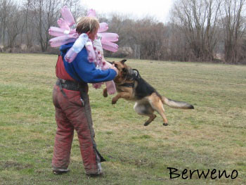 Berenique Sherak