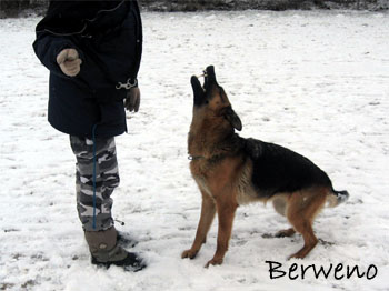 Berenique Sherak - 4 roky