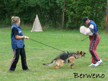 Berenique Sherak