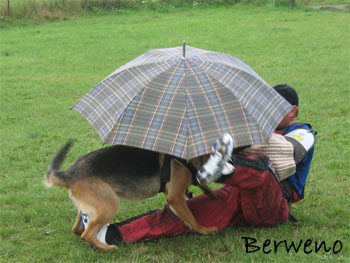 Berenique Sherak