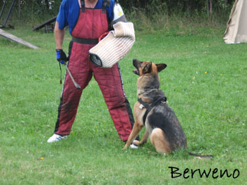 Berenique Sherak
