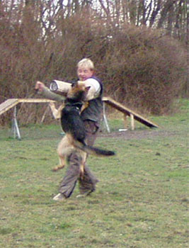 Fantastique Sherak - 16 měsíců