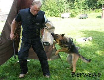Berenique Sherak - 4,5 roku