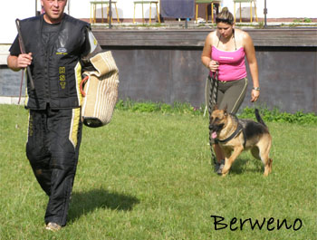 Berenique Sherak - 4,5 roku