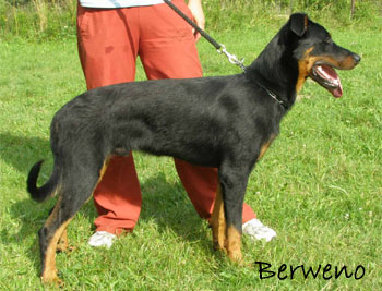 Herodes l'Amouraudi�re - 7 m�s�c�