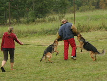 LVT Vrbno pod Prad�dem