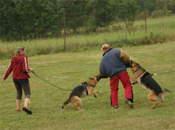 LVT Vrbno pod Prad�dem