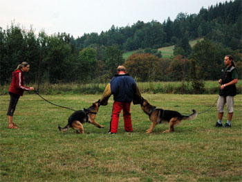 LVT Vrbno pod Prad�dem