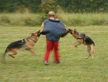 LVT Vrbno pod Prad�dem